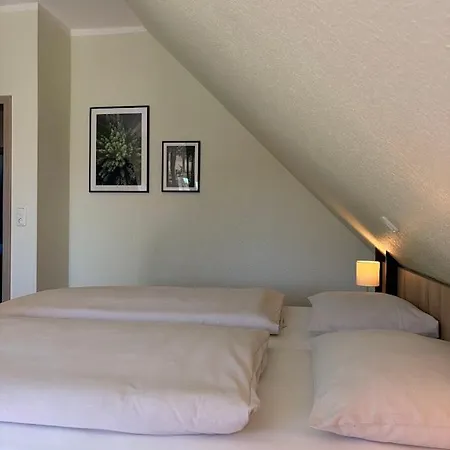Schlueter & Restaurant Hotel 2*